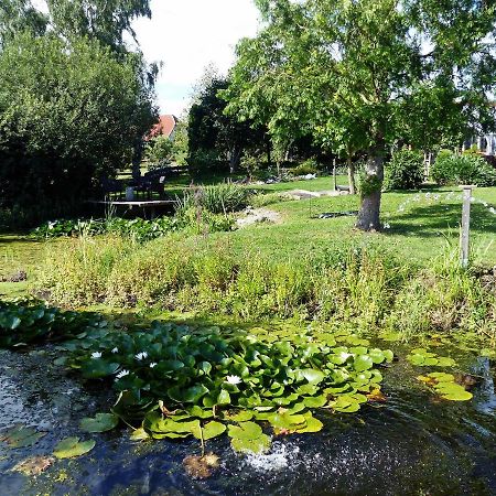 "Balmgarten" Im Naturpark Usedom, Bio Solarhaus Mit Grossem Garten エクステリア 写真