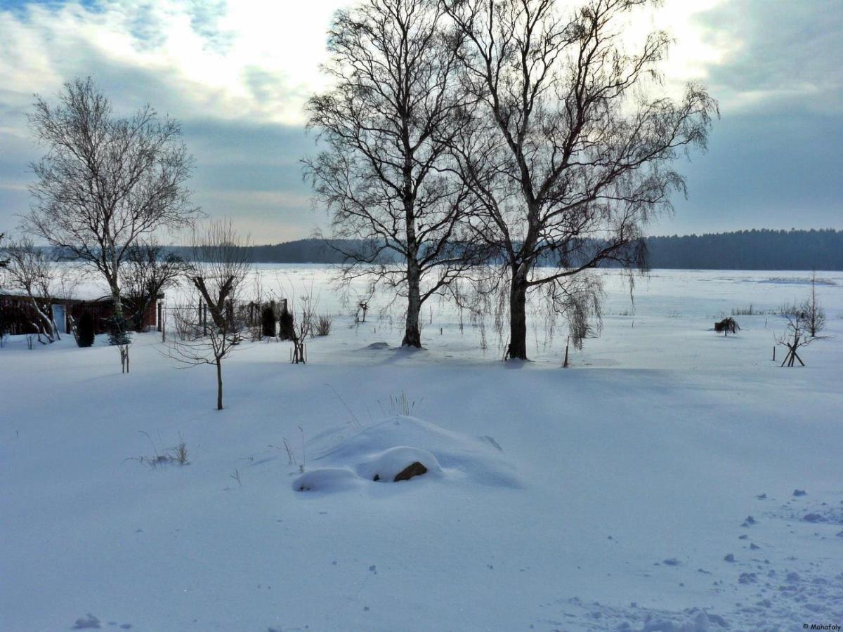 "Balmgarten" Im Naturpark Usedom, Bio Solarhaus Mit Grossem Garten エクステリア 写真