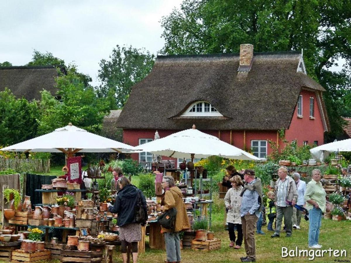 "Balmgarten" Im Naturpark Usedom, Bio Solarhaus Mit Grossem Garten エクステリア 写真