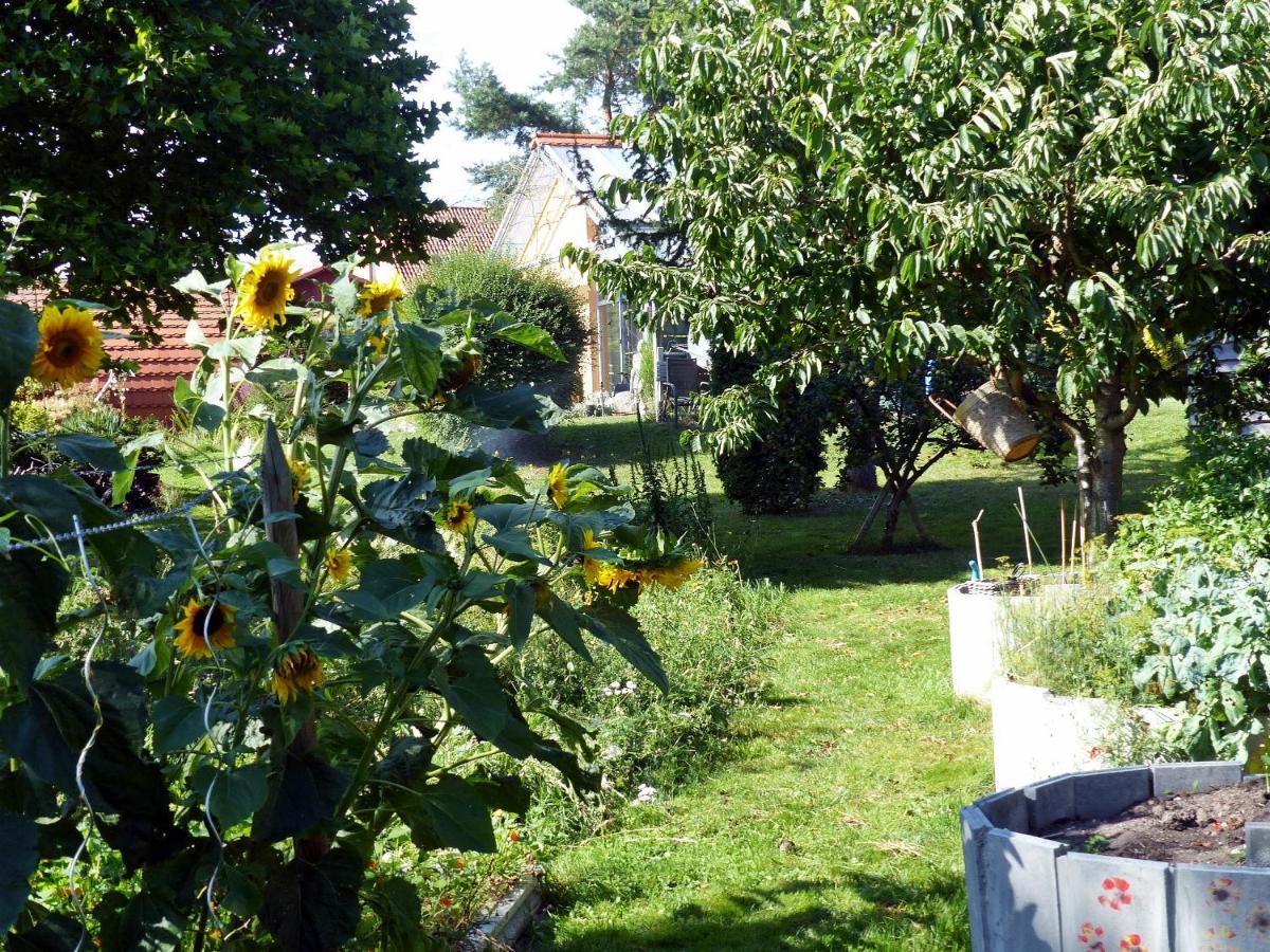 "Balmgarten" Im Naturpark Usedom, Bio Solarhaus Mit Grossem Garten エクステリア 写真