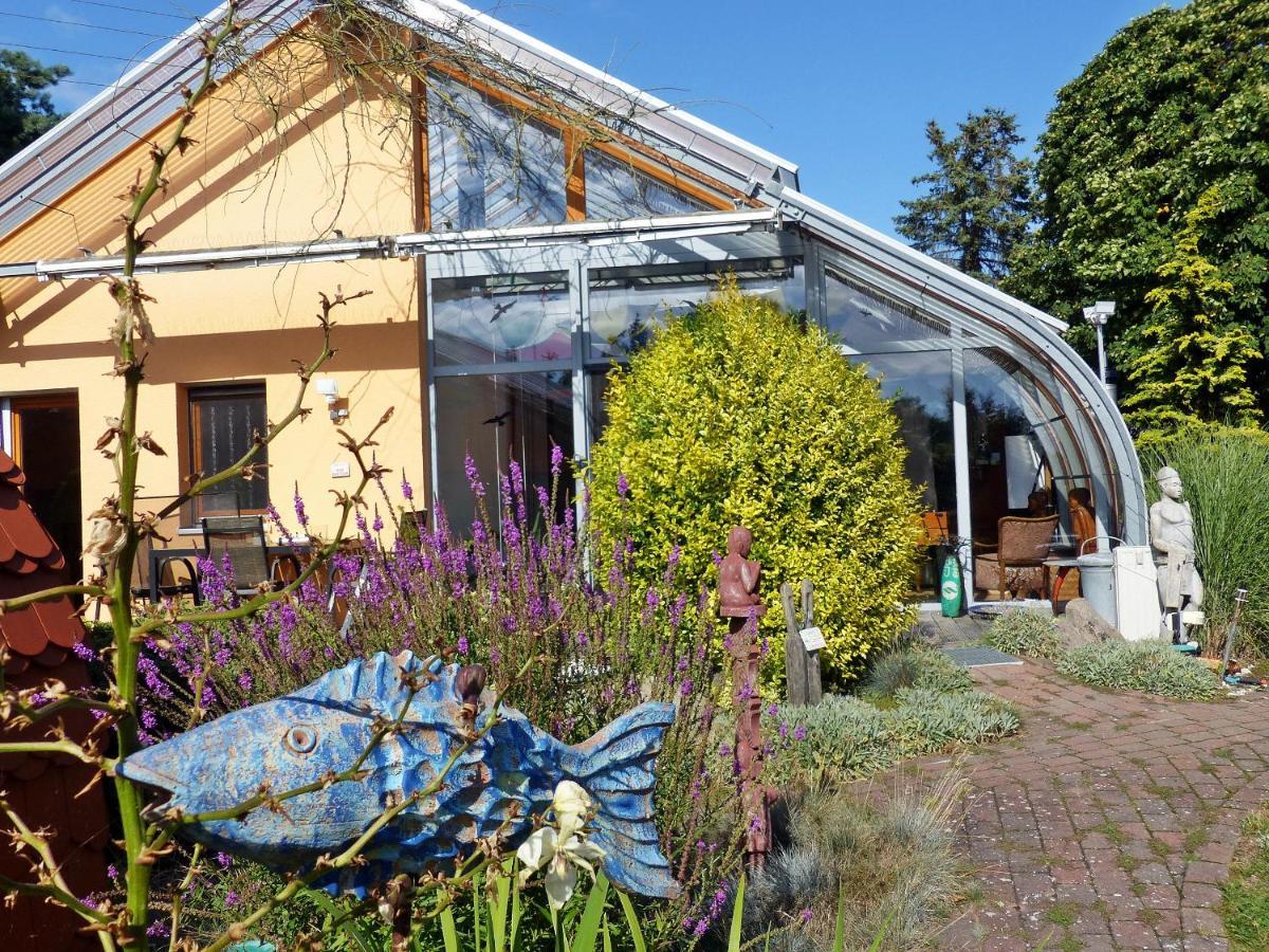 "Balmgarten" Im Naturpark Usedom, Bio Solarhaus Mit Grossem Garten エクステリア 写真