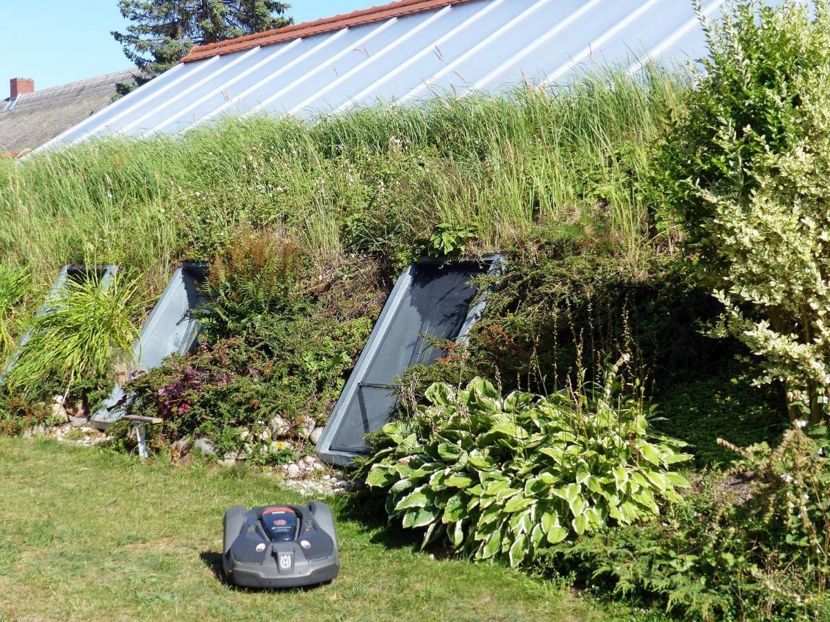 "Balmgarten" Im Naturpark Usedom, Bio Solarhaus Mit Grossem Garten エクステリア 写真