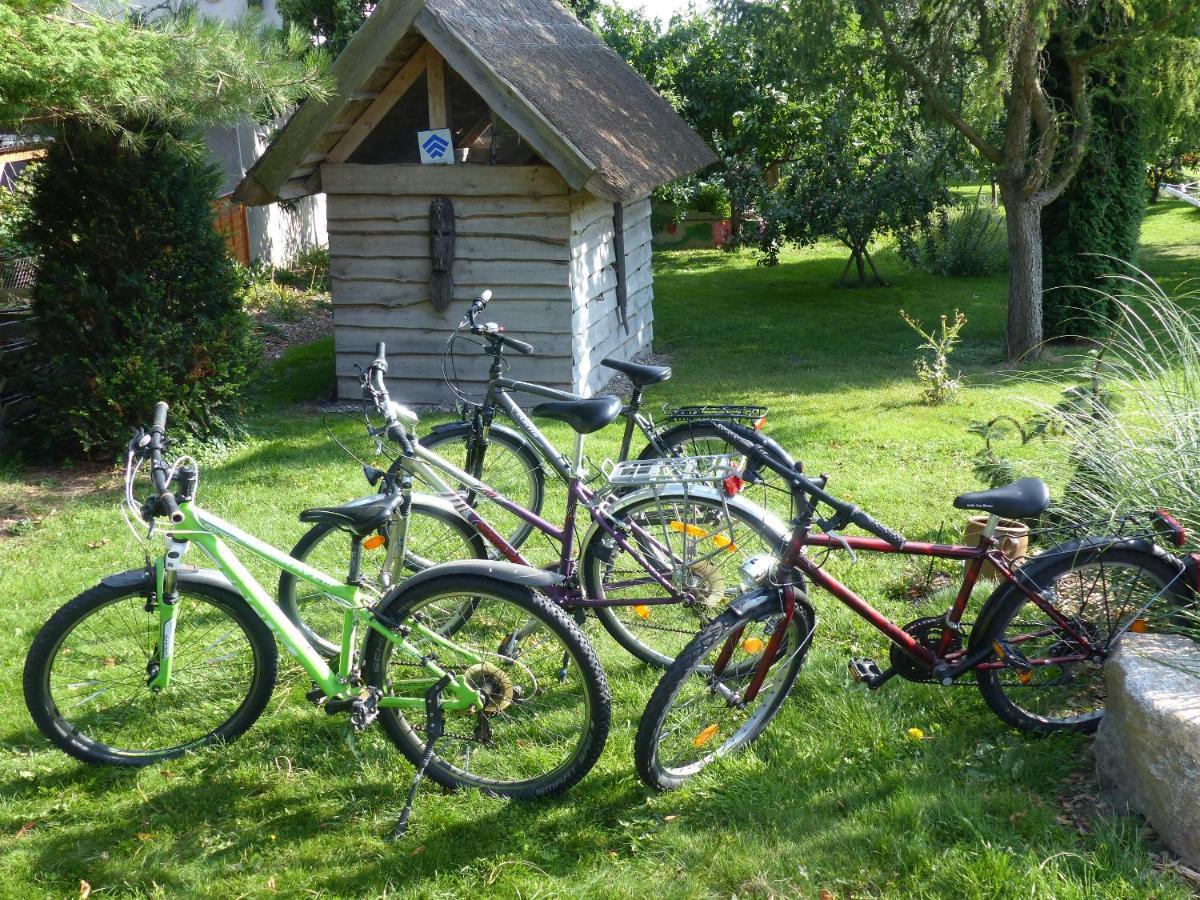 "Balmgarten" Im Naturpark Usedom, Bio Solarhaus Mit Grossem Garten エクステリア 写真