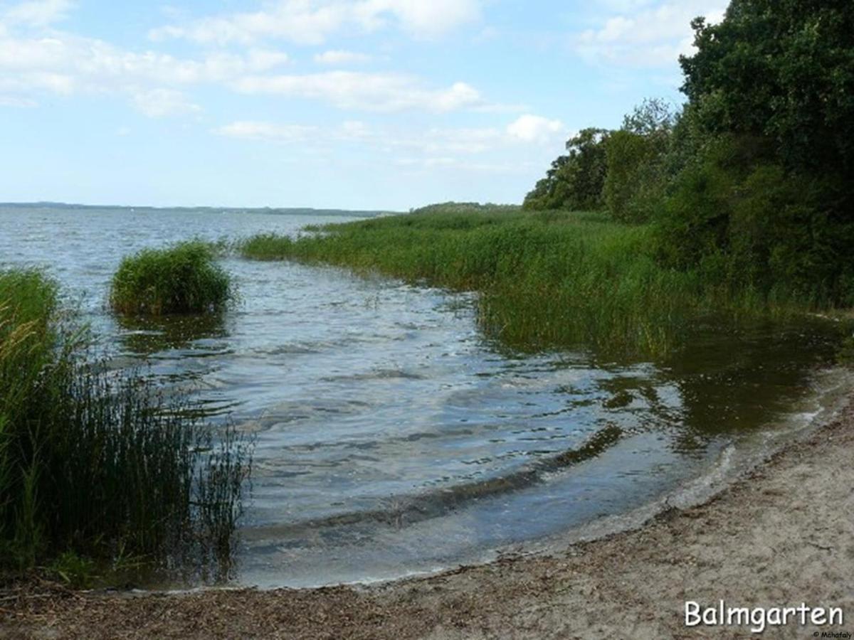 "Balmgarten" Im Naturpark Usedom, Bio Solarhaus Mit Grossem Garten エクステリア 写真