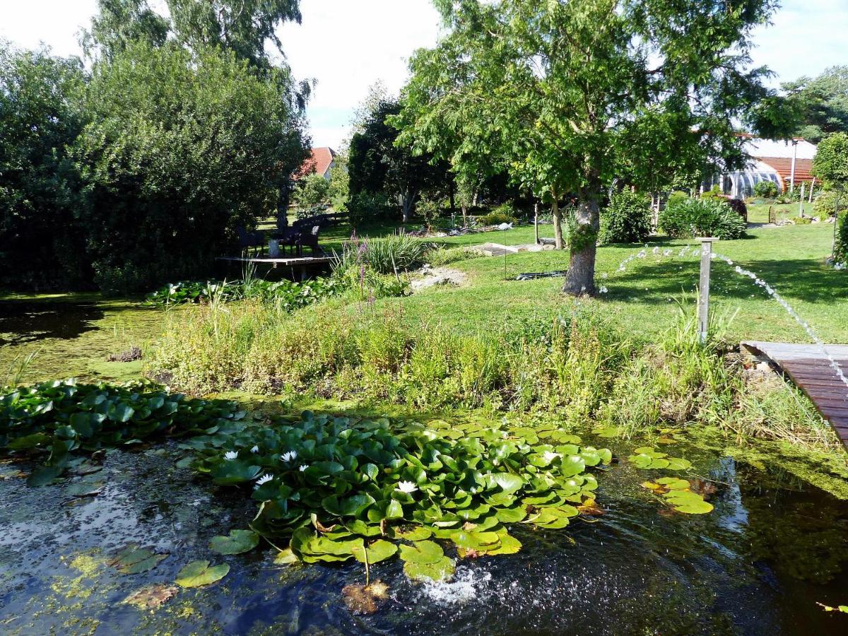 "Balmgarten" Im Naturpark Usedom, Bio Solarhaus Mit Grossem Garten エクステリア 写真
